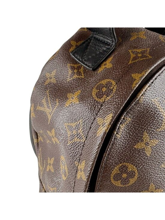Louis Vuitton Palm Springs Backpack PM main image 8